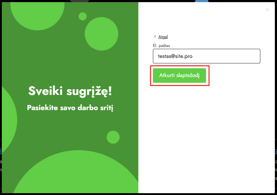 Slaptažodžio priminimo forma